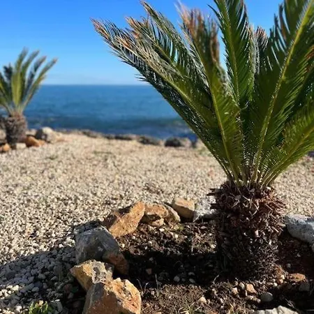 Vicino Al Mare